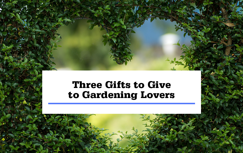 three gifts to give to gardening lovers